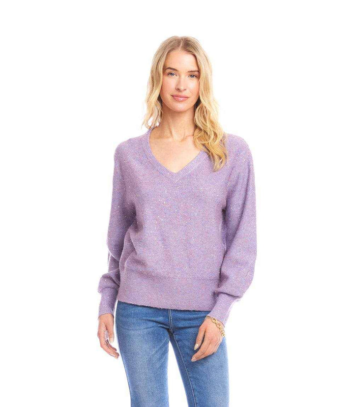 Sequin V-Neck Sweater
