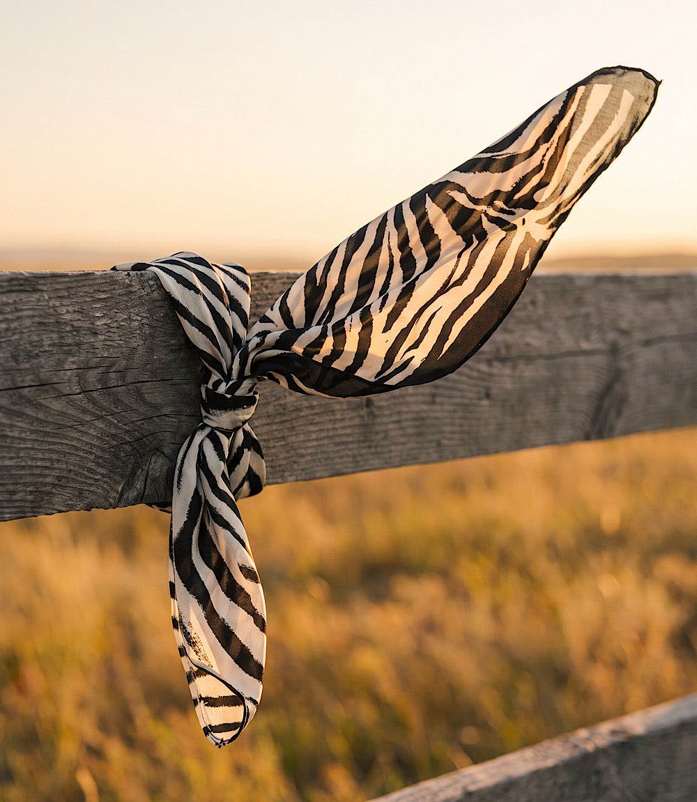 Silk Scarf