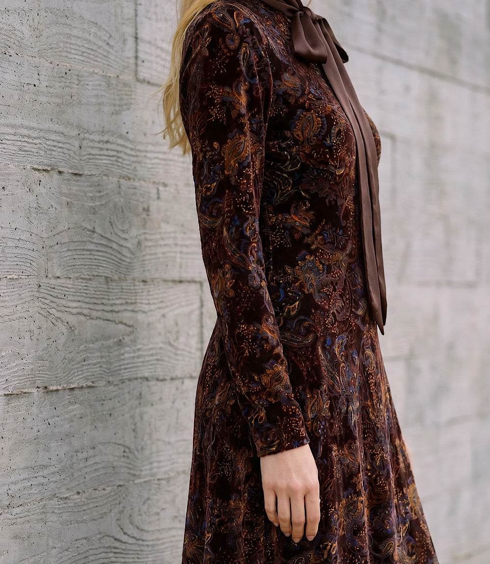 Long Sleeve Velvet Burnout Midi Dress